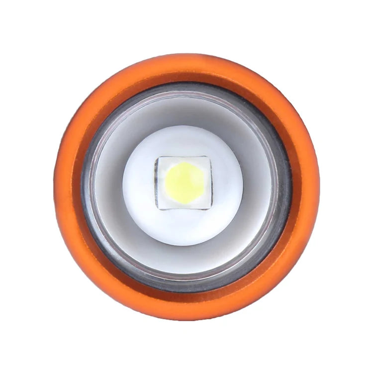 Intensity 480 LED Hand Torch